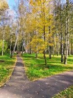 Парк "Березовый" город Высоковск осень фото 18