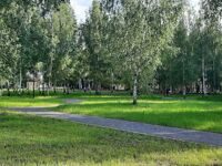 Парк "Вальс цветов" в Клину фото 50